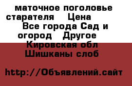 маточное поголовье старателя  › Цена ­ 3 700 - Все города Сад и огород » Другое   . Кировская обл.,Шишканы слоб.